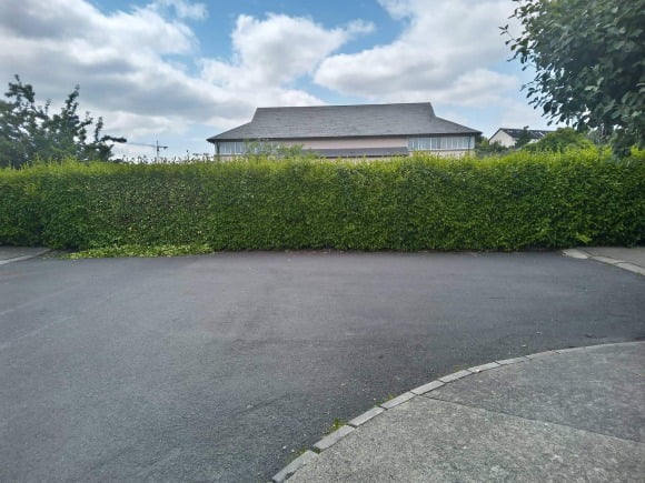 Hedge Trimming and Garden Maintenance Dublin and Kildare - 5 Star Tree Care and Gardening