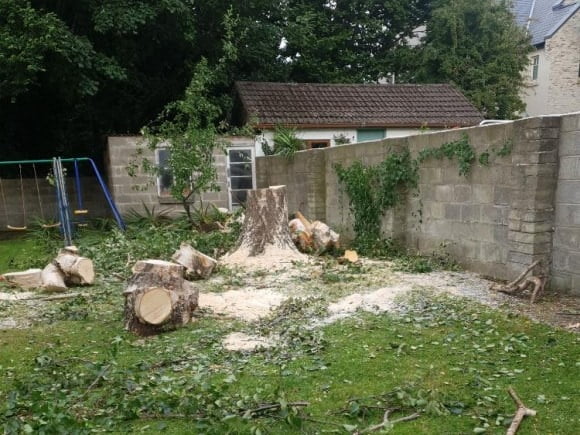 Tree Removal Services in Kildare and Dublin