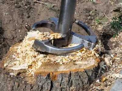 stump removal dublin